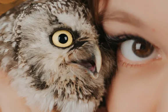 Casino Lucky Tiger Supporto